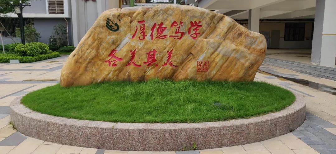 包含中国体操名将黄新妮走进校园，激励学子追梦的词条