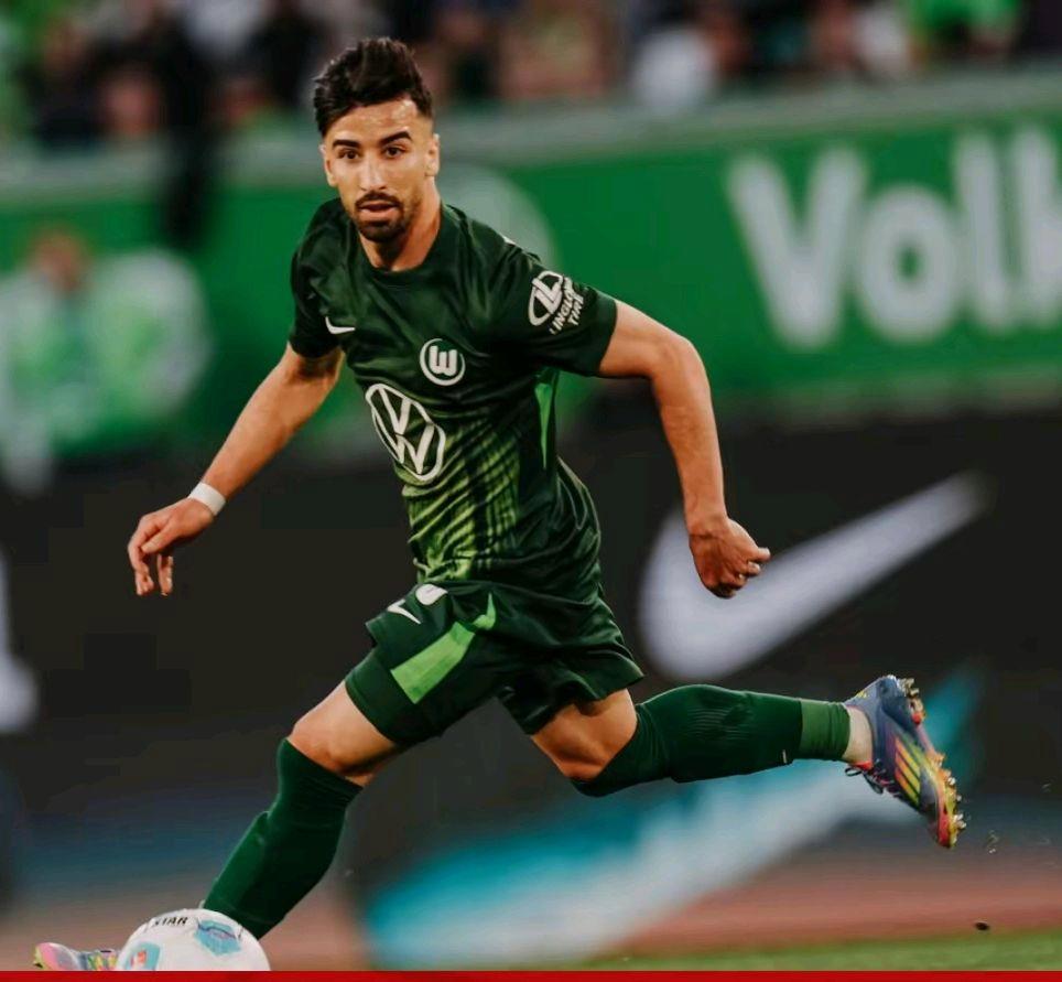 沃尔夫斯堡主场落败,球迷失望不已的简单介绍 沃尔夫斯堡主场落败,球迷失望不已的简单介绍